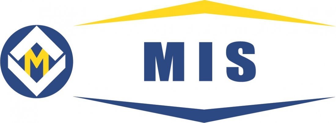 MIS_1